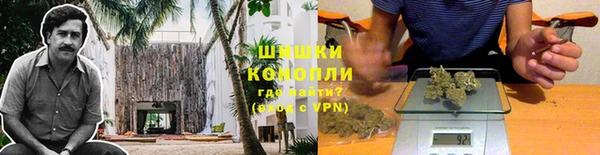 мдпв Ельня