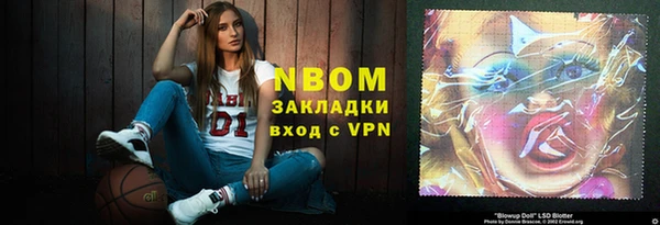 прущие грибы Дмитров