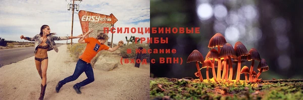 МДПВ Елабуга