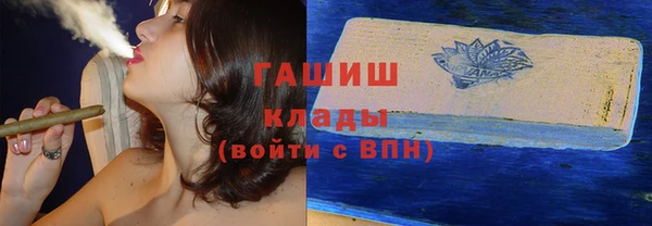 прущие грибы Дмитров