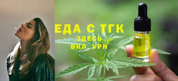 мдпв Ельня