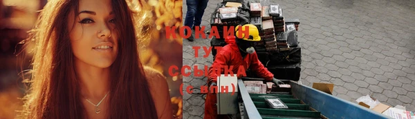 гашик Щигры