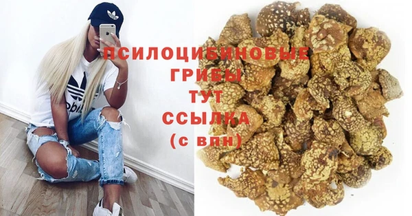 МДПВ Елабуга