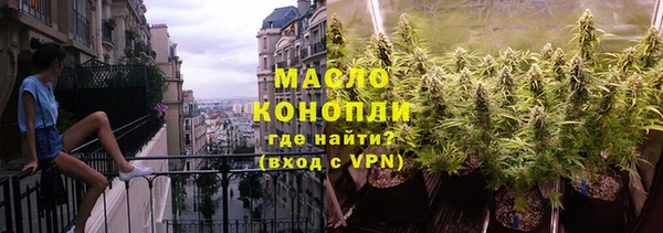 мдпв Ельня