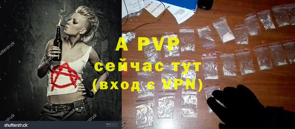 мдпв Ельня