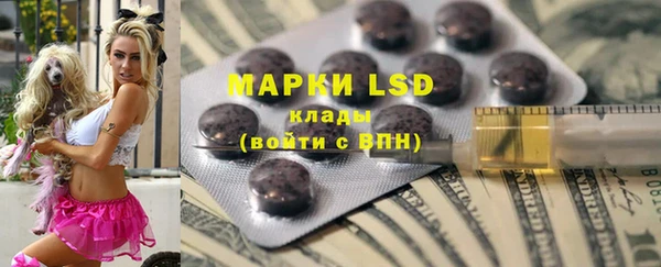 мдпв Ельня