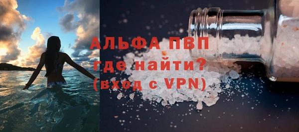 прущие грибы Дмитров