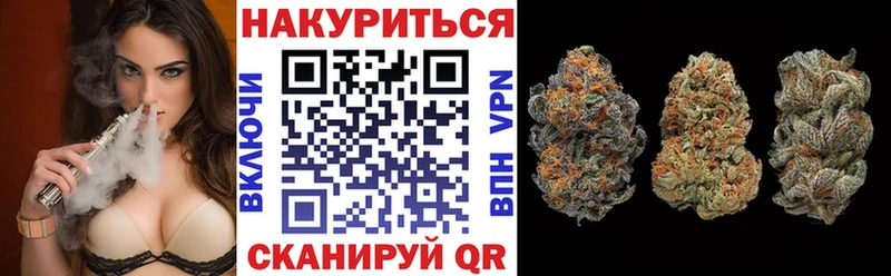 закладка  Пересвет  Канабис гибрид 